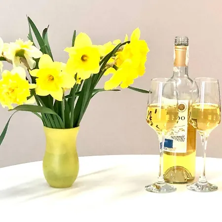 Apartment Osapart Vip In A Complex Semycvit *