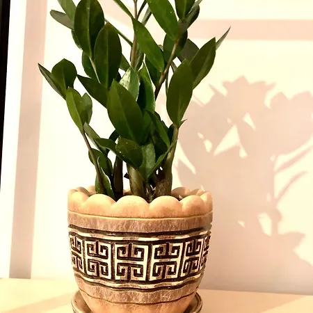 Osapart Vip In A Complex Semycvit Apartment Lviv