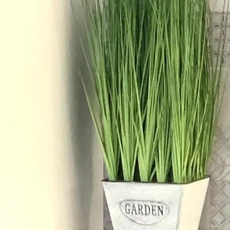 Osapart In A Complex Semycvit * Lviv