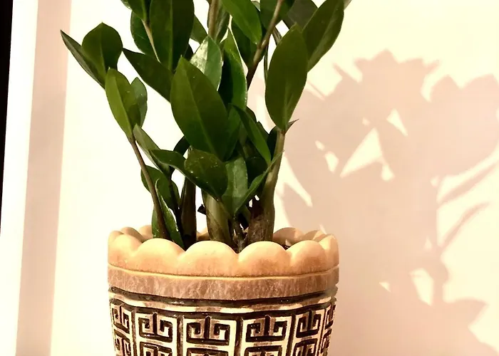 Osapart In A Complex Semycvit דירה לבוב